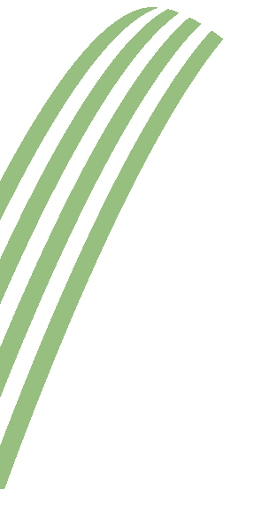 footer-v1-shape2